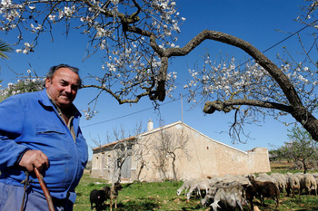 Outlying districts of Fuente Álamo: Las Palas