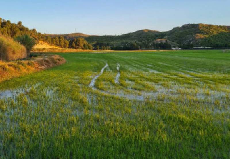 Rafting on the River Segura and a chance to sample dishes made with Calasparra rice