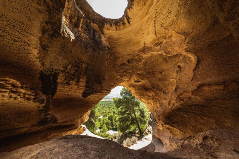 July 13 Guided evening walk at Monte Arabí and wine tasting at Bodegas Castaño in Yecla