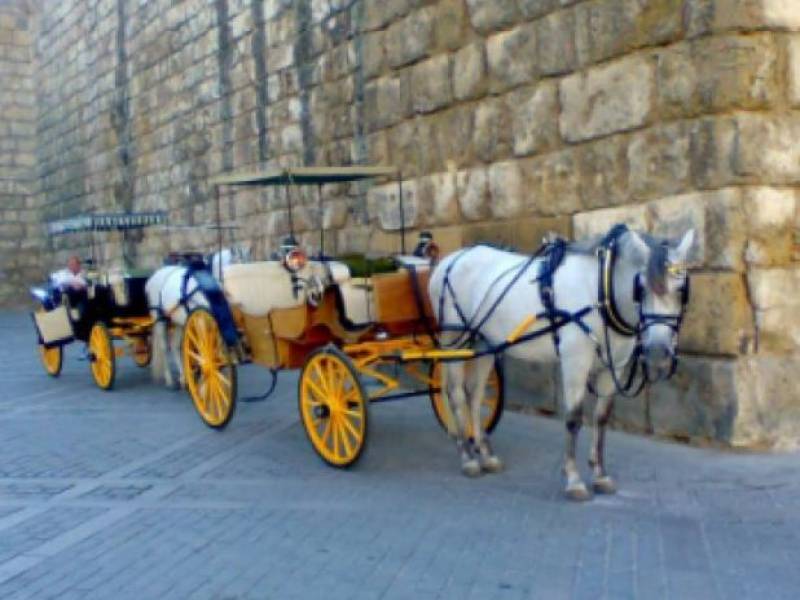 Sevilla steps in to protect carriage horses from the summer heat