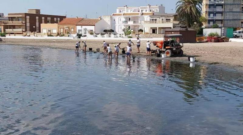 Mar Menor open to installing more nets as jellyfish influx continues