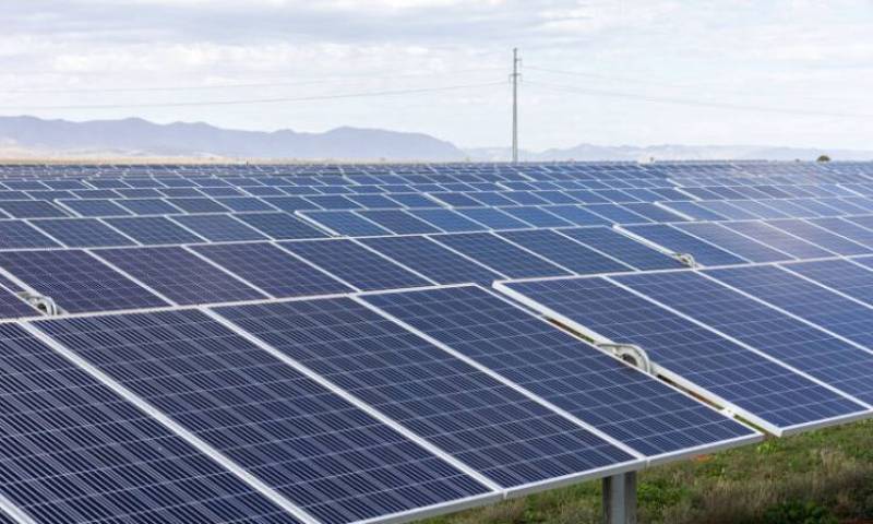 Planning refused for 2 Murcia solar plants as they endanger wildlife