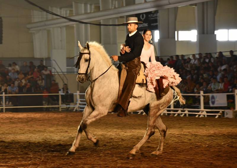 April 3 to 6 Equimur horse show in Torre Pacheco