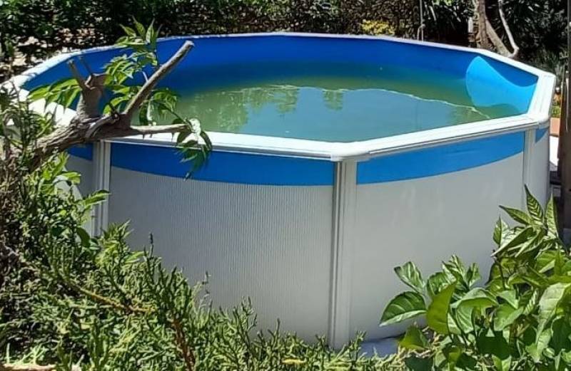 San Pedro del Pinatar steps up tiger mosquito control efforts