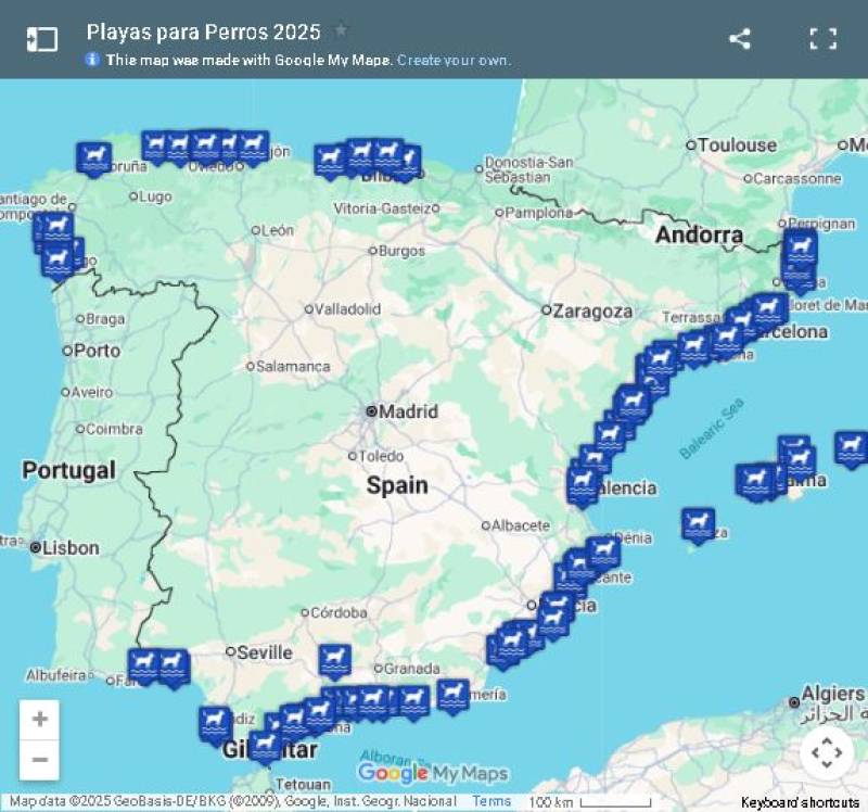 These are the Spanish beaches that welcome dogs this summer