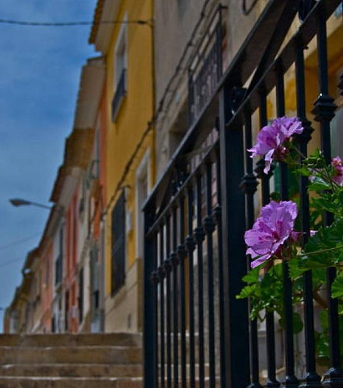 August 28 Guided tour and dinner-time snacks in La Puebla de Mula