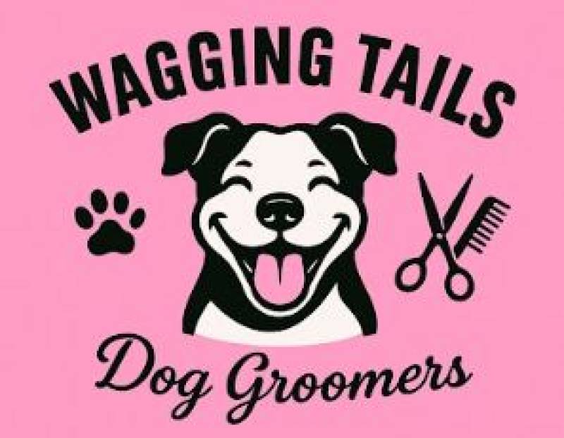 Camposol is already gearing up for Christmas