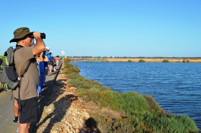 January 18 Free bird-spotting walk in the salt flats of San Pedro del Pinatar