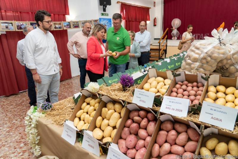 La Puebla Potato Festival wins national prize!