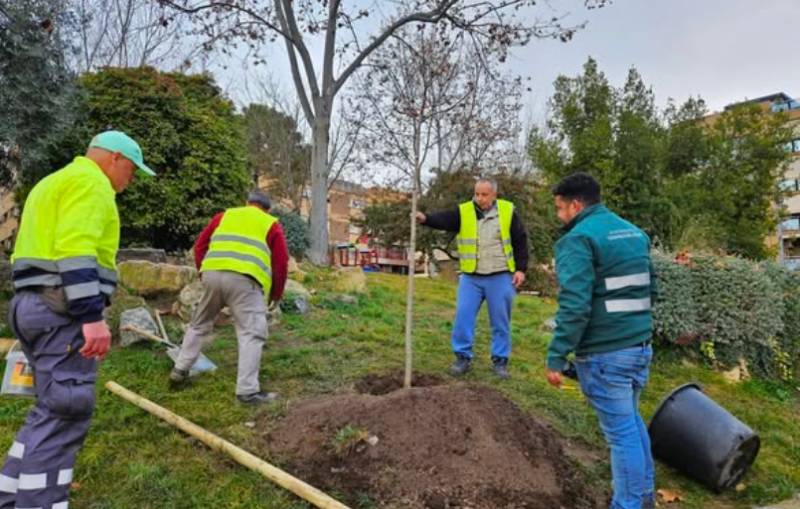 Caravaca de la Cruz plants nearly 100 trees to create more green spaces across town