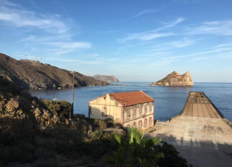 May 16 Free guided walk on the Tres Bahías Blue Trail in Aguilas