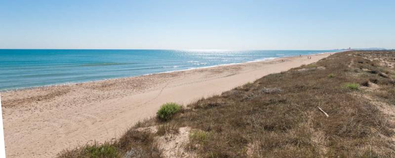 Body found on Valencia beach linked to migrant boat tragedy off Cartagena