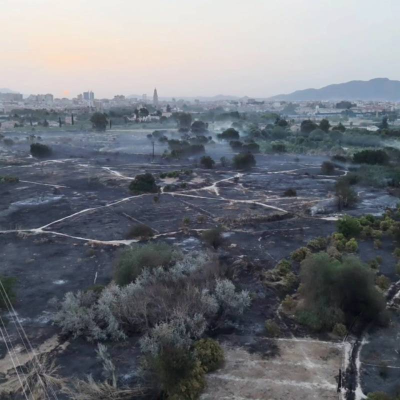 Murcia wildfire brought under control after burning 18 hectares along the River Segura