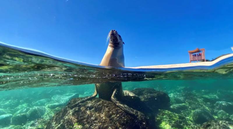 Scientists in Spain join mission to protect Galápagos and Amazon wildlife