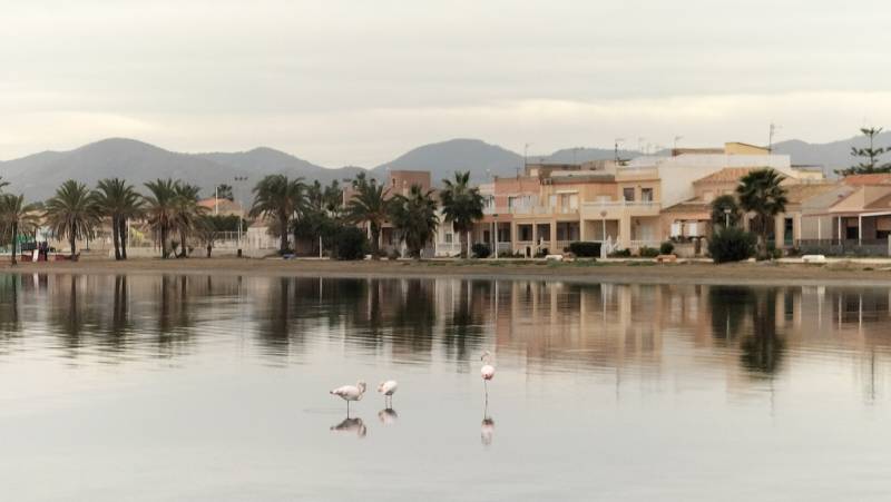 Los Urrutias residents call for sunken yacht to be removed