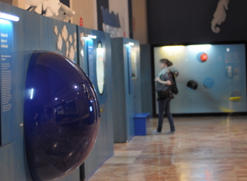 Museums in Murcia City, El Museo de la Ciencia y el Agua