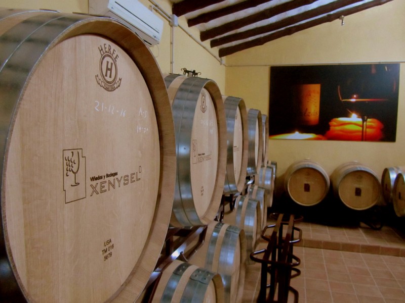 Jumilla wine route, Bodega Xenysel