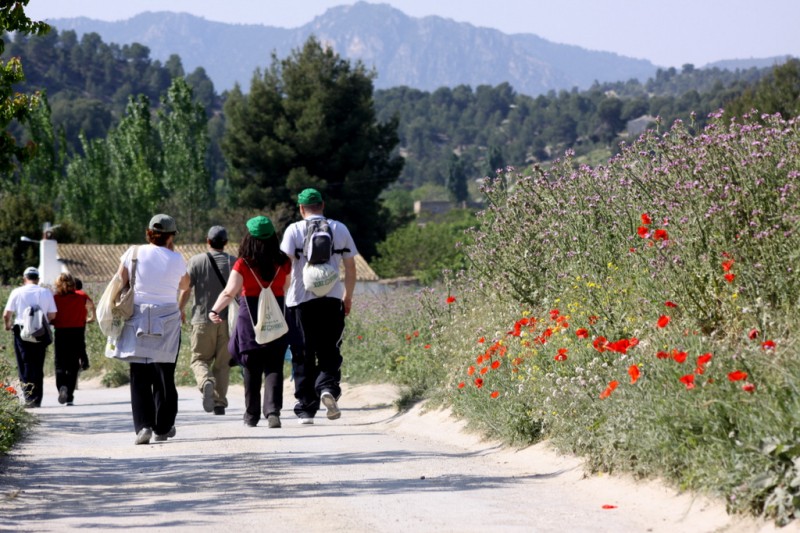 The Camino de Levante pilgrimage and hiking route from Orihuela to Caravaca de la Cruz