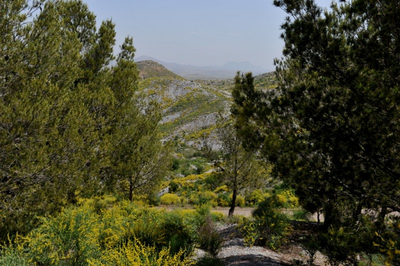 Outlying districts of Puerto Lumbreras: Cabezo de la Jara