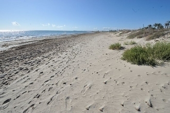 San Pedro del Pinatar beaches: Playa del Mojón